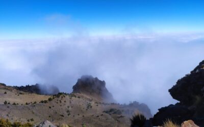 cofre de perote
