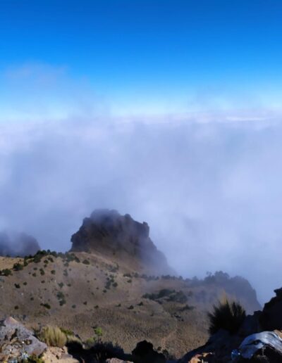 cofre de perote