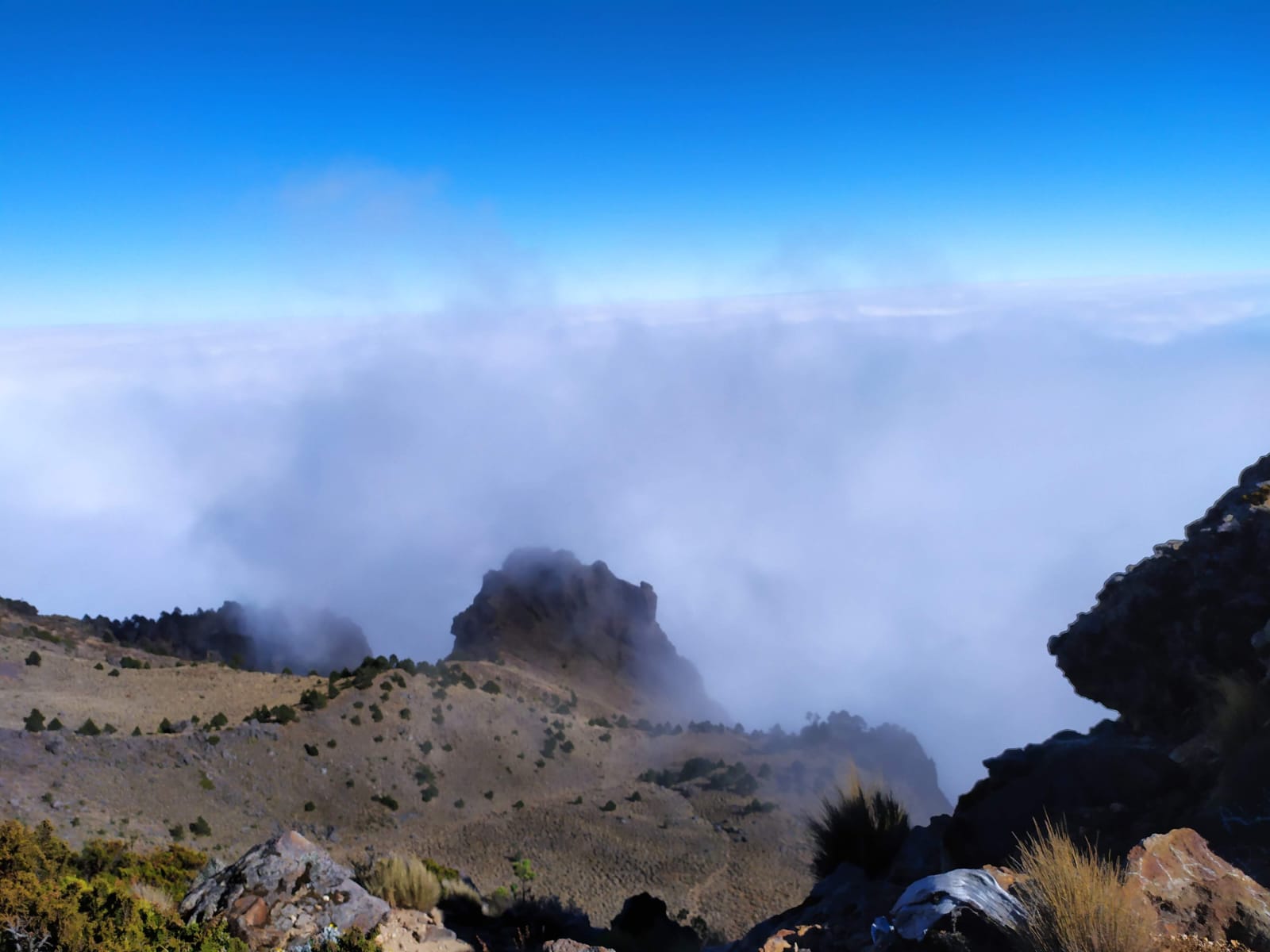 cofre de perote