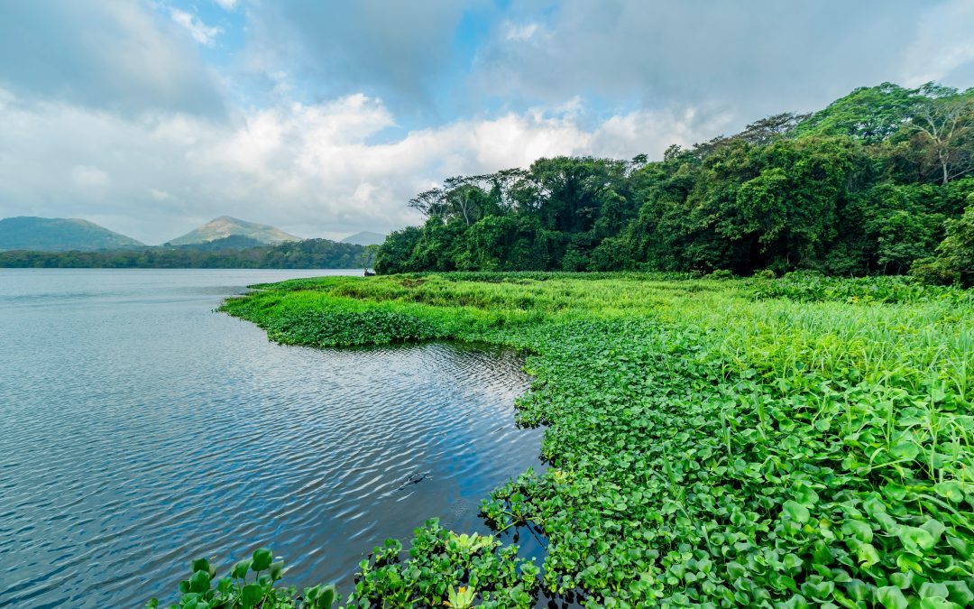 AGUAS ABIERTAS CATEMACO