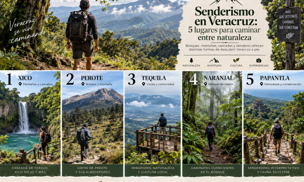 Senderismo en Veracruz: 5 lugares para caminar entre naturaleza